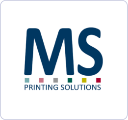 Принтер для печати на ткани MS LaRIO-brend
